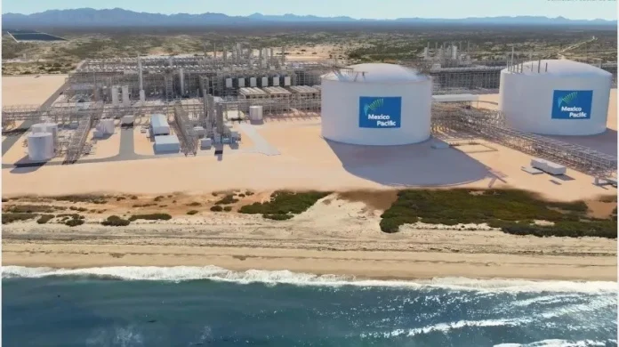 2923468_crop1689699934211.jpg_1935743484