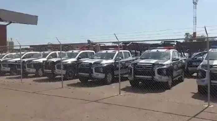 356784581_1377563952795509_2437313925060771932_n_1.jpg_1746502604