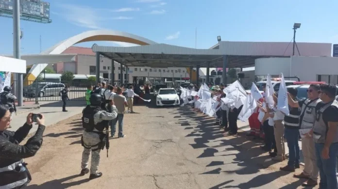 363381806_310496331447067_5333217982932391994_n.jpg_1951604284