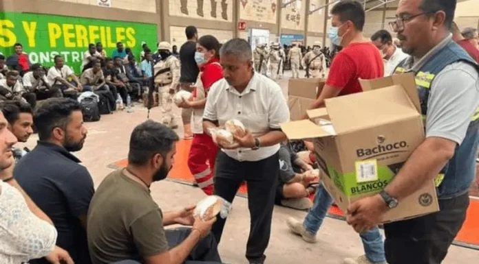 Rescatan en Sonora a 212 migrantes procedentes de Arabia y Senegal