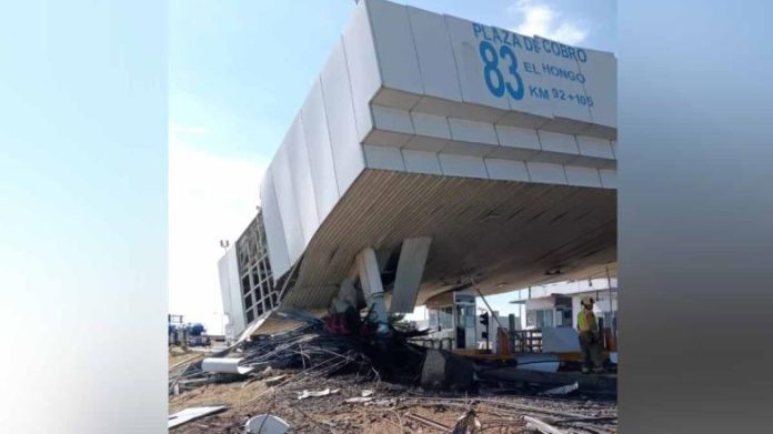 csrta-del-hongo-928436df-focus-0-0-784-440