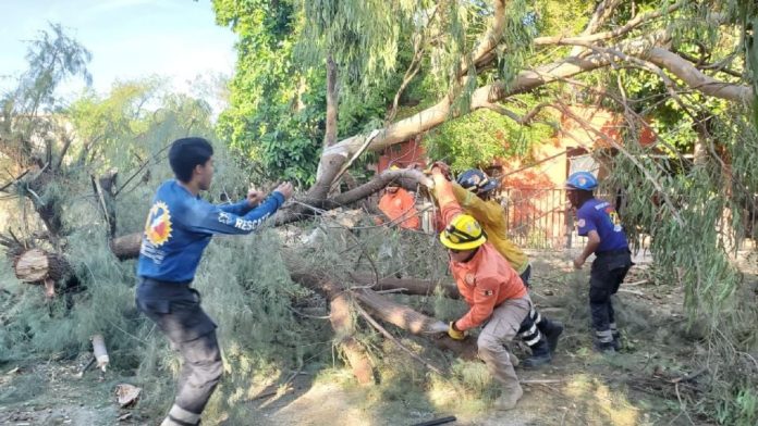 f960x540-342146_416221_31