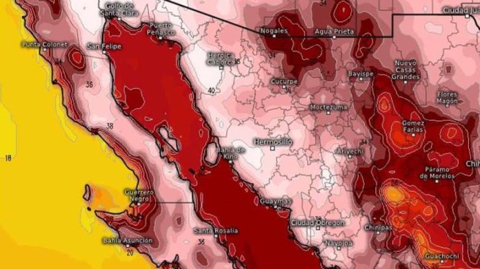 mapa-sonora-13-5145b196-focus-0-0-784-440