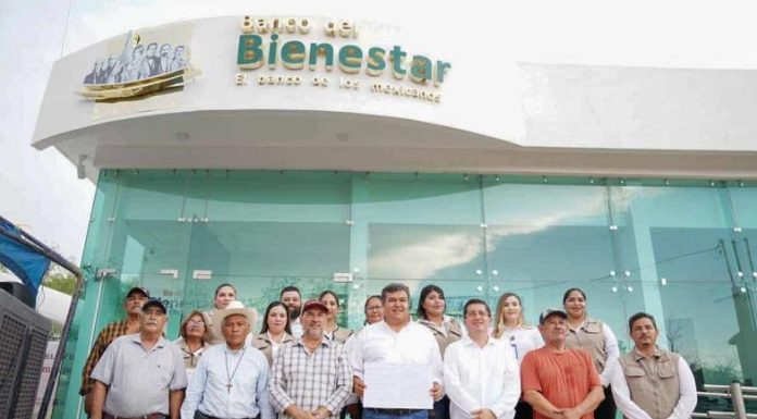 Navojoa. Masiaca tiene desde su propio Banco de Bienestar