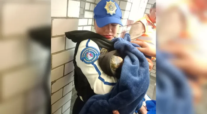 En Metro CdMx, menor de 17 años da a luz a su bebé en estación Acatitla de la Línea A