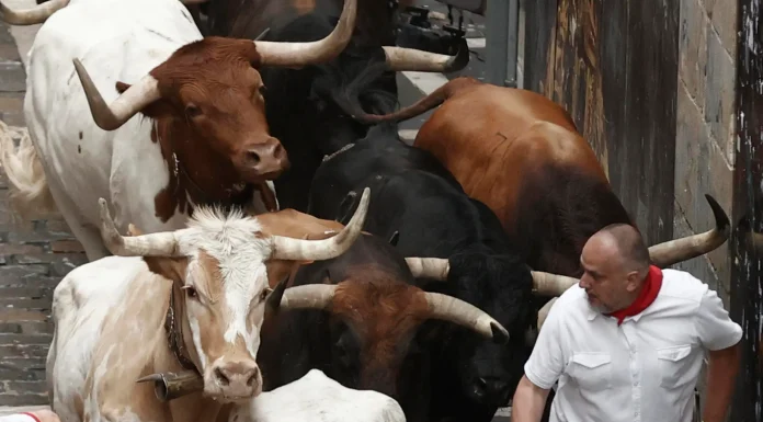 Arrancan Sanfermines con carrera rápida, limpia y sin heridas por asta