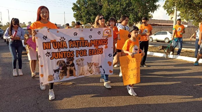 Realizan marcha en Navojoa para exigir un alto contra el maltrato animal