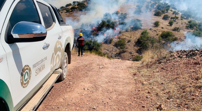 Liquidan incendio forestal en Moctezuma, informa Protección Civil Sonora