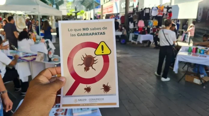 Sonora, la entidad con la mayor cifra de rickettsiosis a nivel nacional