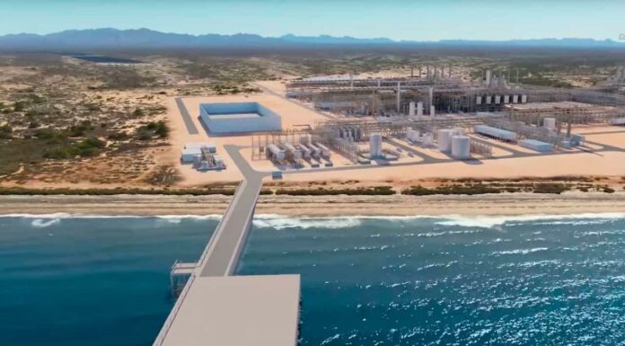 Sonora, punta de lanza para industrialización: México Pacific Limited