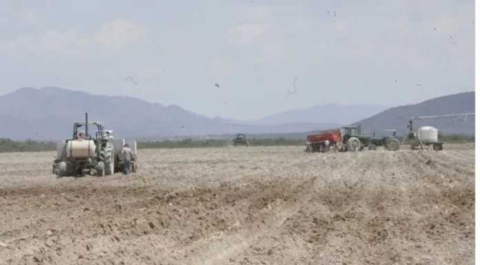 Sin definir el próximo ciclo agrícola: Sader