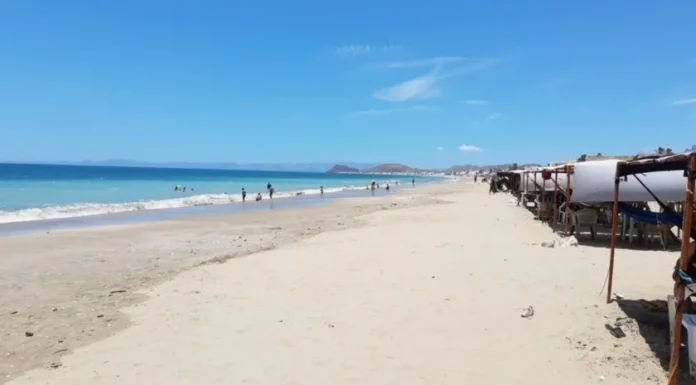 Harán ‘megalimpieza’ en Bahía de Kino