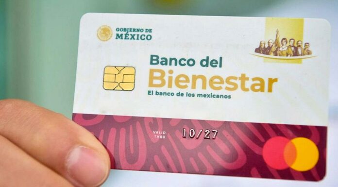 Tienes hasta el 28 de septiembre para recibir el apoyo de Bienestar