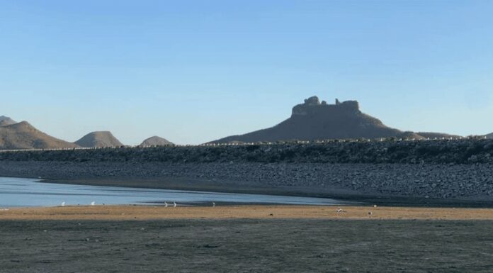 Ciclo agrícola en el Valle del Mayo en duda por falta de lluvias este 2023