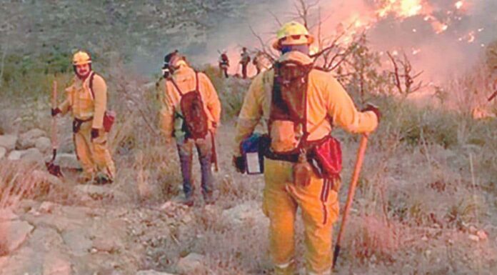 Incendios consumen 57 mil hectáreas en la entidad: CEPC