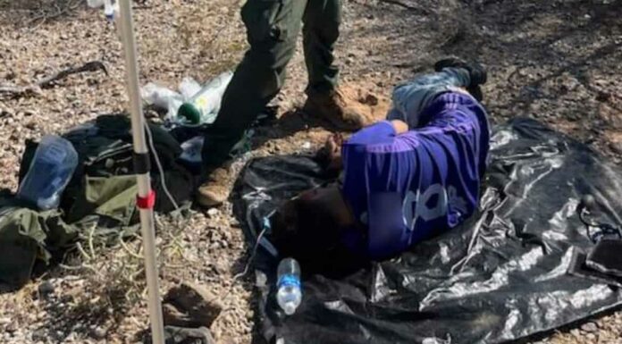 Patrulla Fronteriza rescata a migrantes en el desierto de Arizona