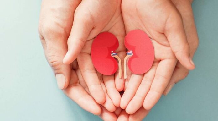Por insuficiencia renal, 162 pacientes esperan trasplante de riñón en Sonora