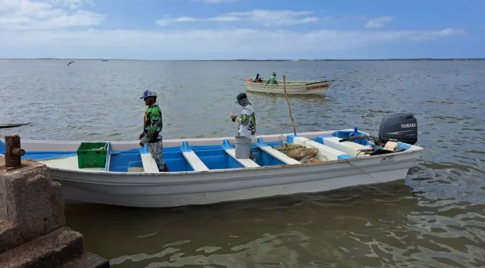 En crisis pescadores por falta de apoyos