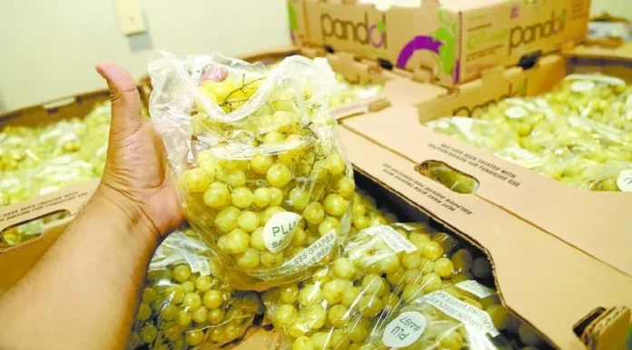 Prevén agricultores de Sonora menores ingresos en exportaciones por tipo de cambio