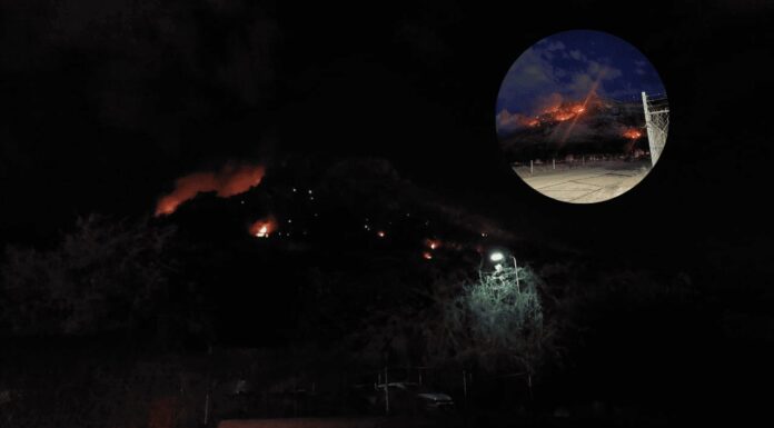 Sofocan Bomberos de Hermosillo incendio en el Cerro de la Cementera