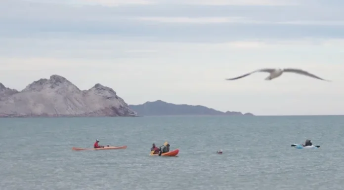 Aumenta en 2023 hasta un 35% número de turistas que visitan Sonora