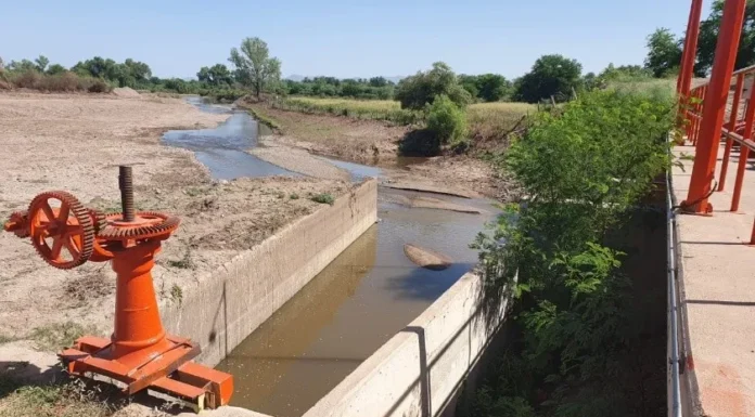 Sequía amenaza a los sectores agrícola y ganadero