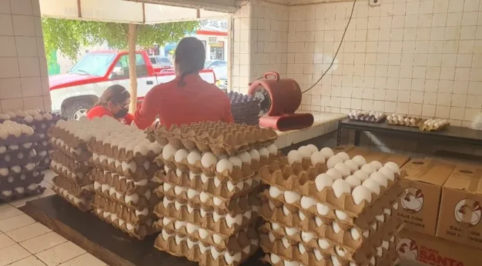 Producción y exportaciones mantienen precio del huevo en Sonora