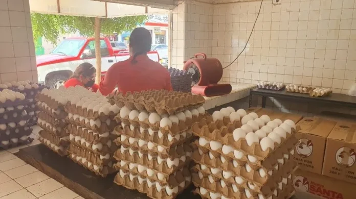 2858128_1.jpg_851672003