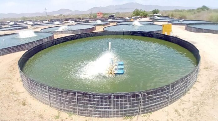 Conapesca promueve programa especial de energía eléctrica