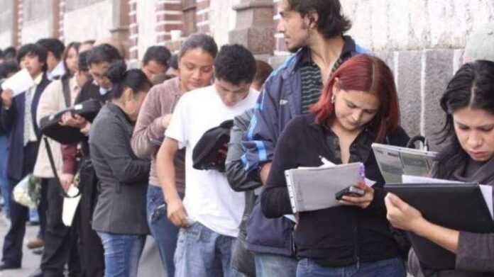 desempleo-focus-0-0-1300-865