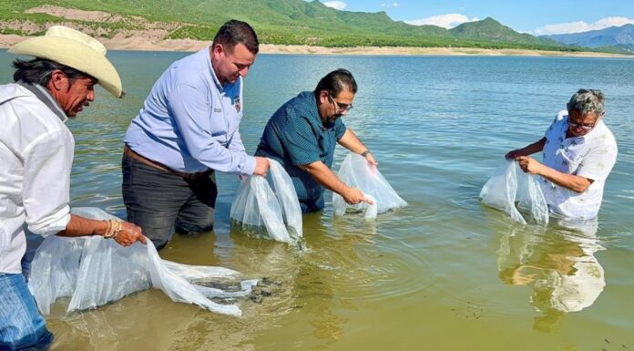 Destacan apoyos de Subsecretaría de Pesca y Acuacultura en El Novillo