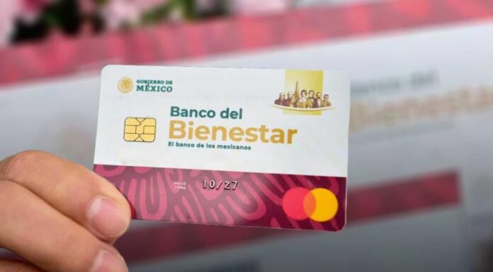 Pensión Bienestar: quiénes renovarán su tarjeta en 2024 y cómo será el proceso