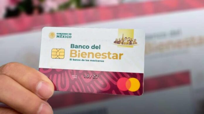 pension-bienestar-renovar-ac96443b-focus-0-0-784-440