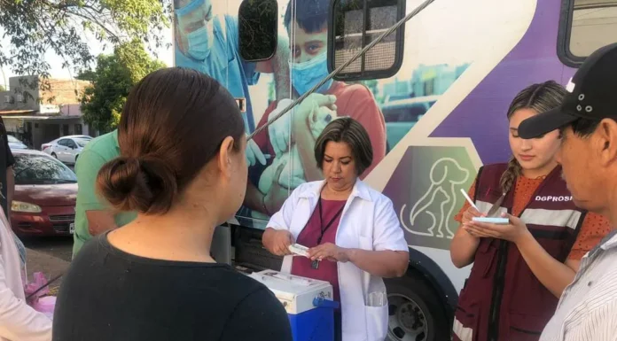 Permanente servicio de esterilización canina y felina en ciudad Obregón