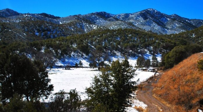 Pronostican llegada de 33 frentes fríos para Sonora esta temporada invernal