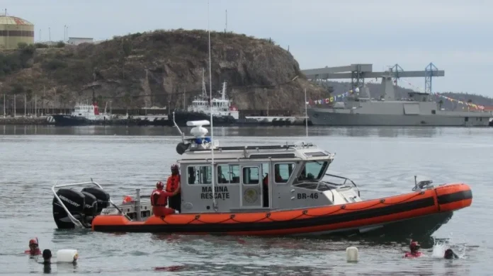 2473246_1.jpg_851672003