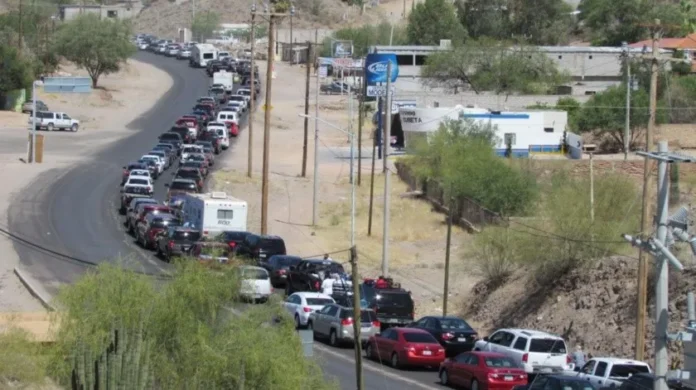 2948258_x1x_1.jpg_851672003