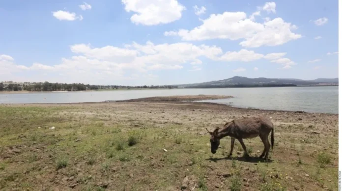 2950009.jpg_851672003