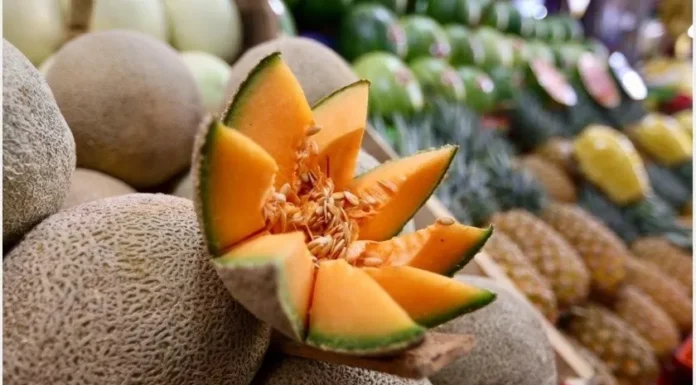 Sin salmonela región de Guaymas-Empalme: Sagarhpa Sonora