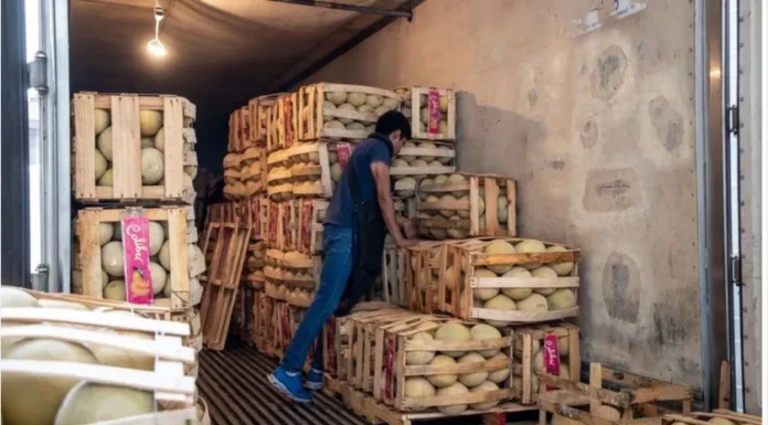 Contaminación por salmonelosis de melones exportados de Sonora pudo presentarse en EU: Aoans