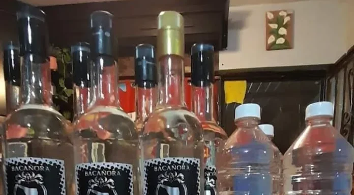 Buscan certificar laboratorio para impulsar comercio de bacanora