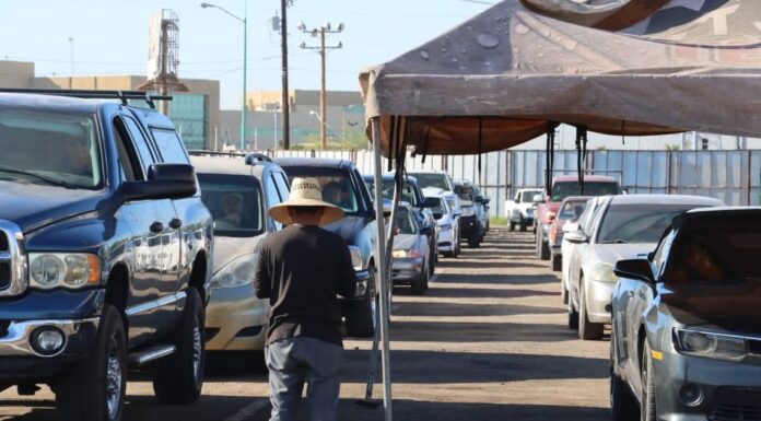 Inicia Repuve Sonora proceso de regularización de vehículos con series que inician con letra