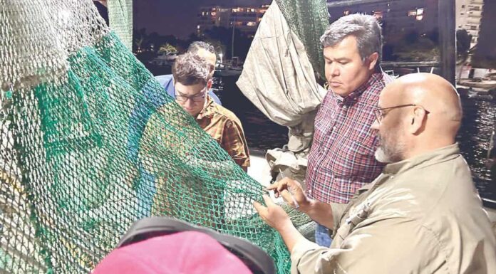 La pesquería de camarón califica 95% por DET’s