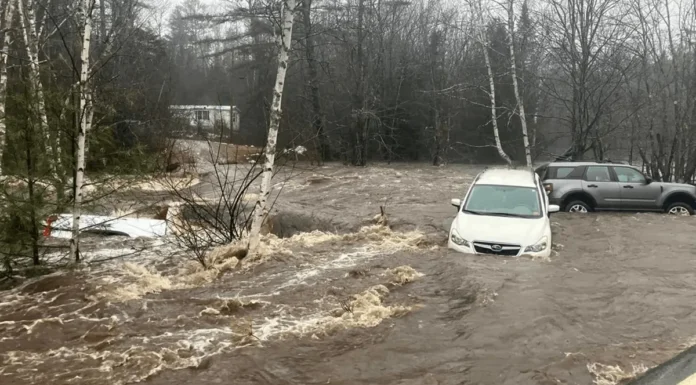 Tormenta invernal deja 5 muertos y 600 mil hogares sin electricidad en EE.UU.