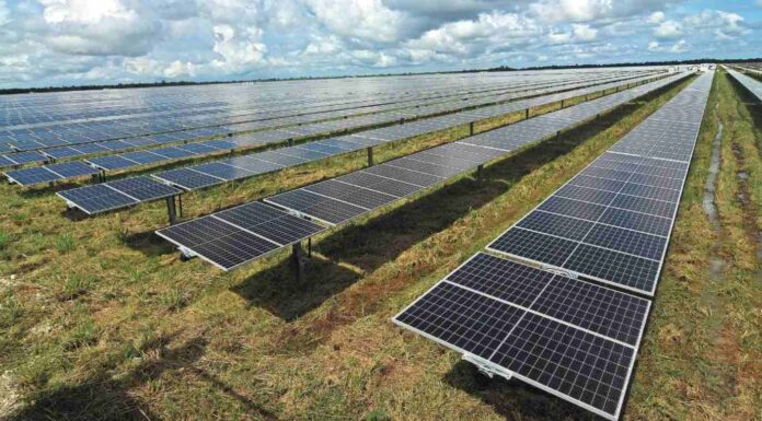 Codeso presenta Plan Sonora de Energías Sostenibles ante más de 200 países e instituciones de la COP28 en Dubái