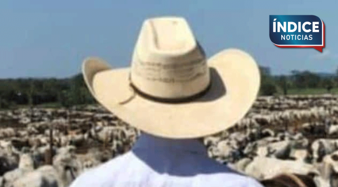 Ganaderos buscan opciones ante retraso en exportación