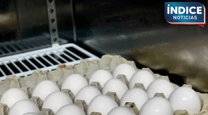 Patrulla fronteriza de EU incauta más huevos que fentanilo