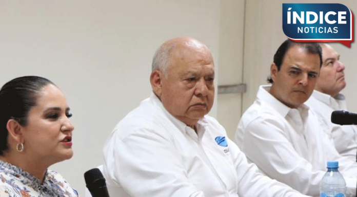 Sonora rompe récord de producción de camarón de cultivo en 2024