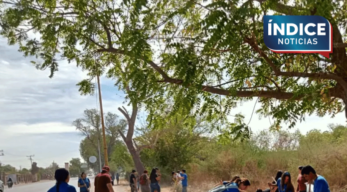 Jóvenes dan «manita de gato» a la Calzada Antonio Valdez Herrera, en Cócorit