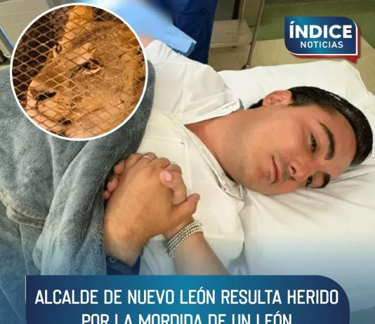 Alcalde de Nuevo León resulta herido por la mordida de un león
